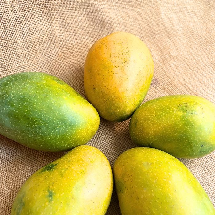 Imam Pasand Mango- The Staple Kaka