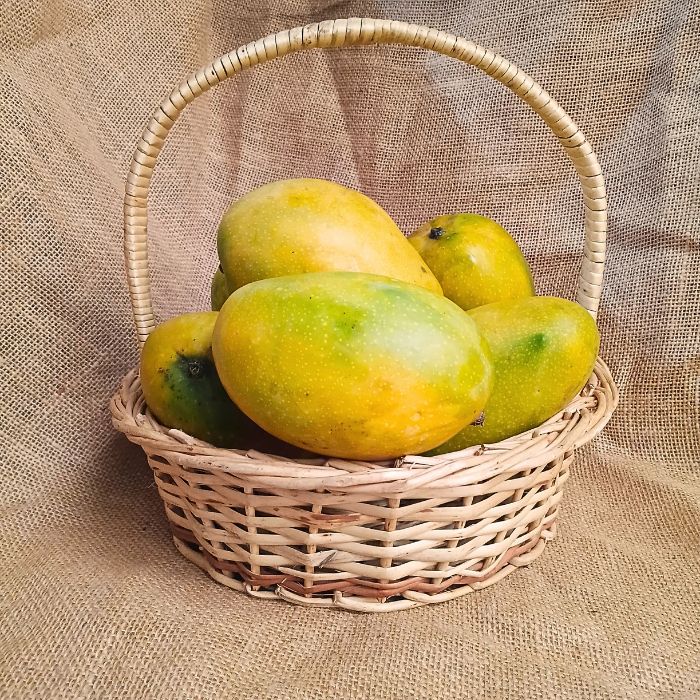 Imam Pasand Mango- The Staple Kaka