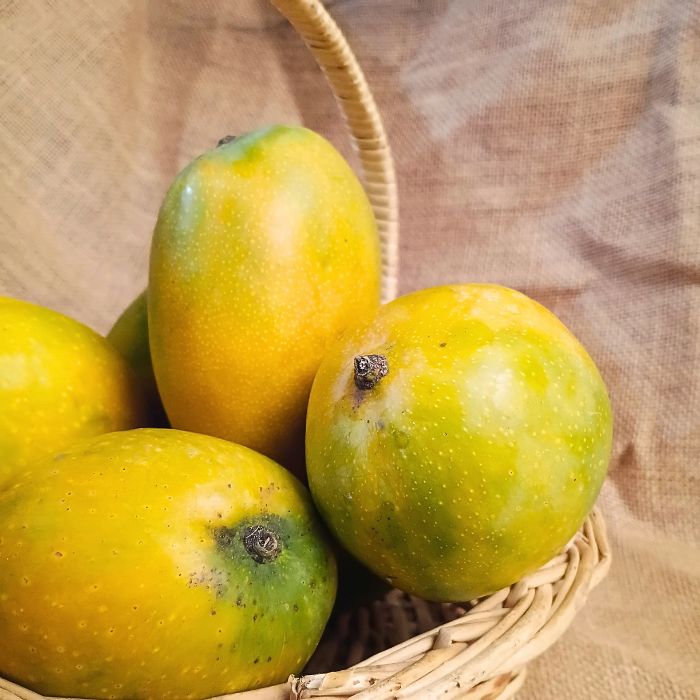 Imam Pasand Mango- The Staple Kaka