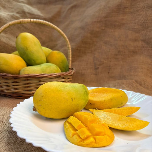 Zardalu/ Jardalu Mangoes from Bhagalpur Bihar by Staple Kaka