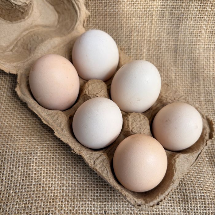 Free Range Kadaknath Eggs  By Staple Kaka