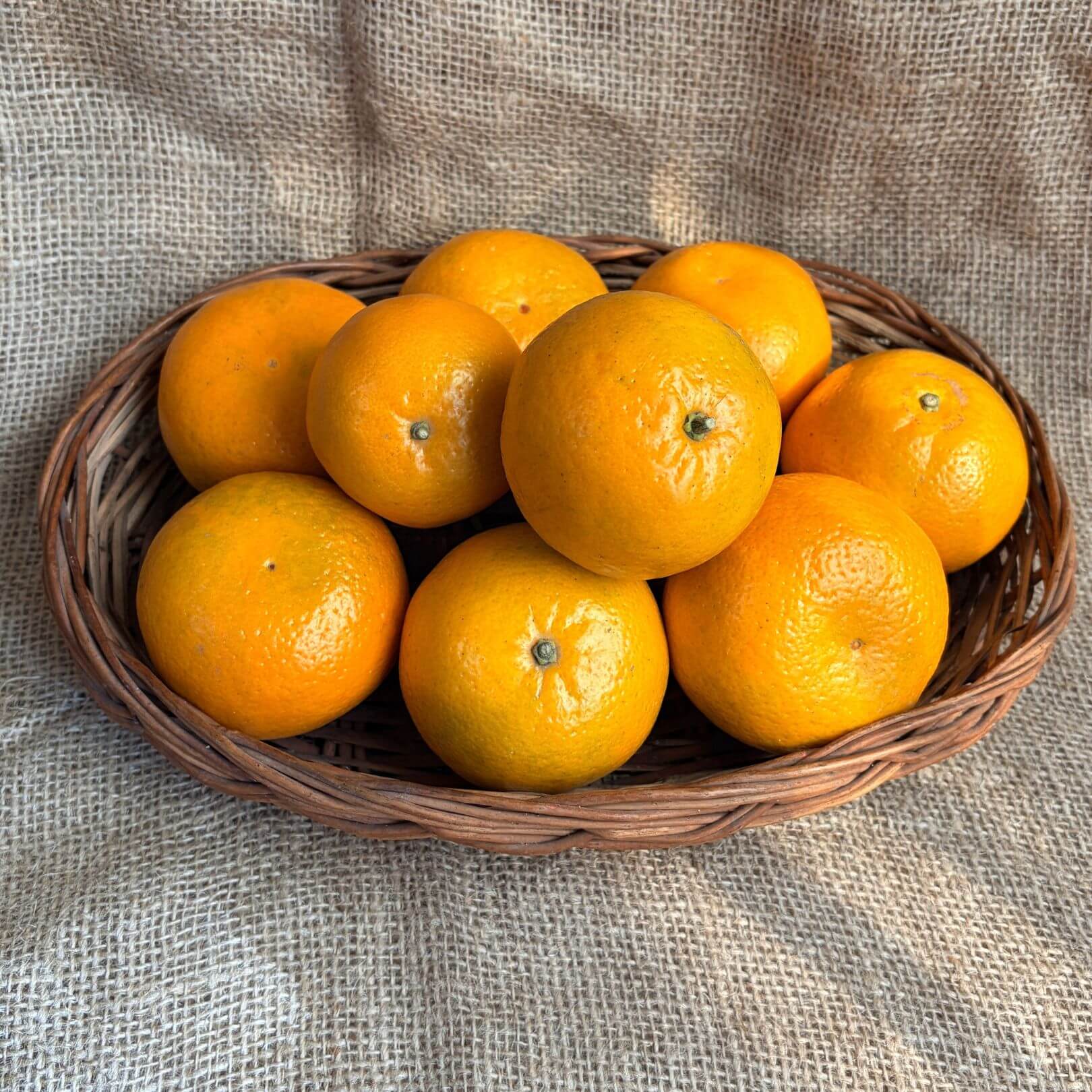 the staple kaka kinnow