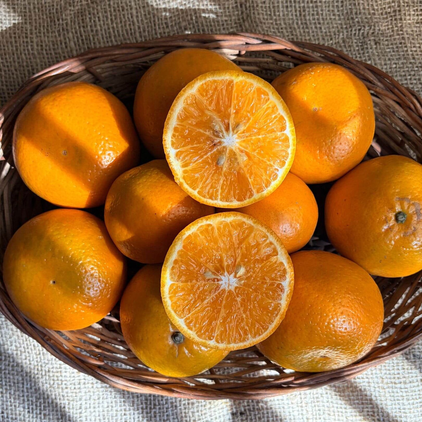 the staple kaka kinnow