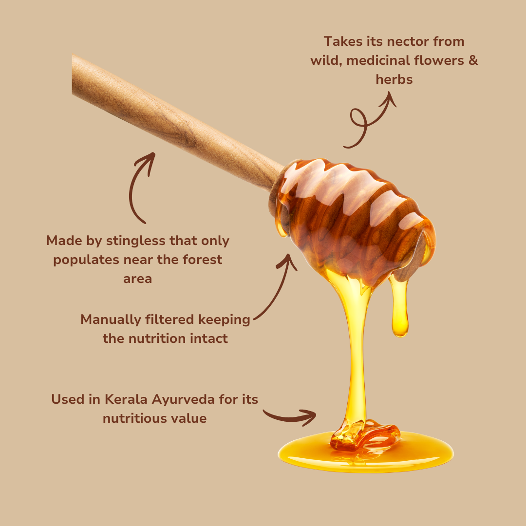 Stingless Bee Honey (Kombu Honey) - Pure & Raw | The Staple Kaka
