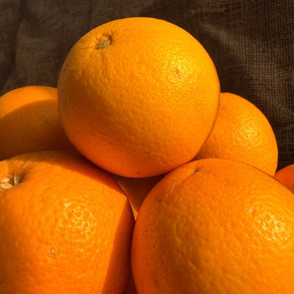 the staple kaka Malta