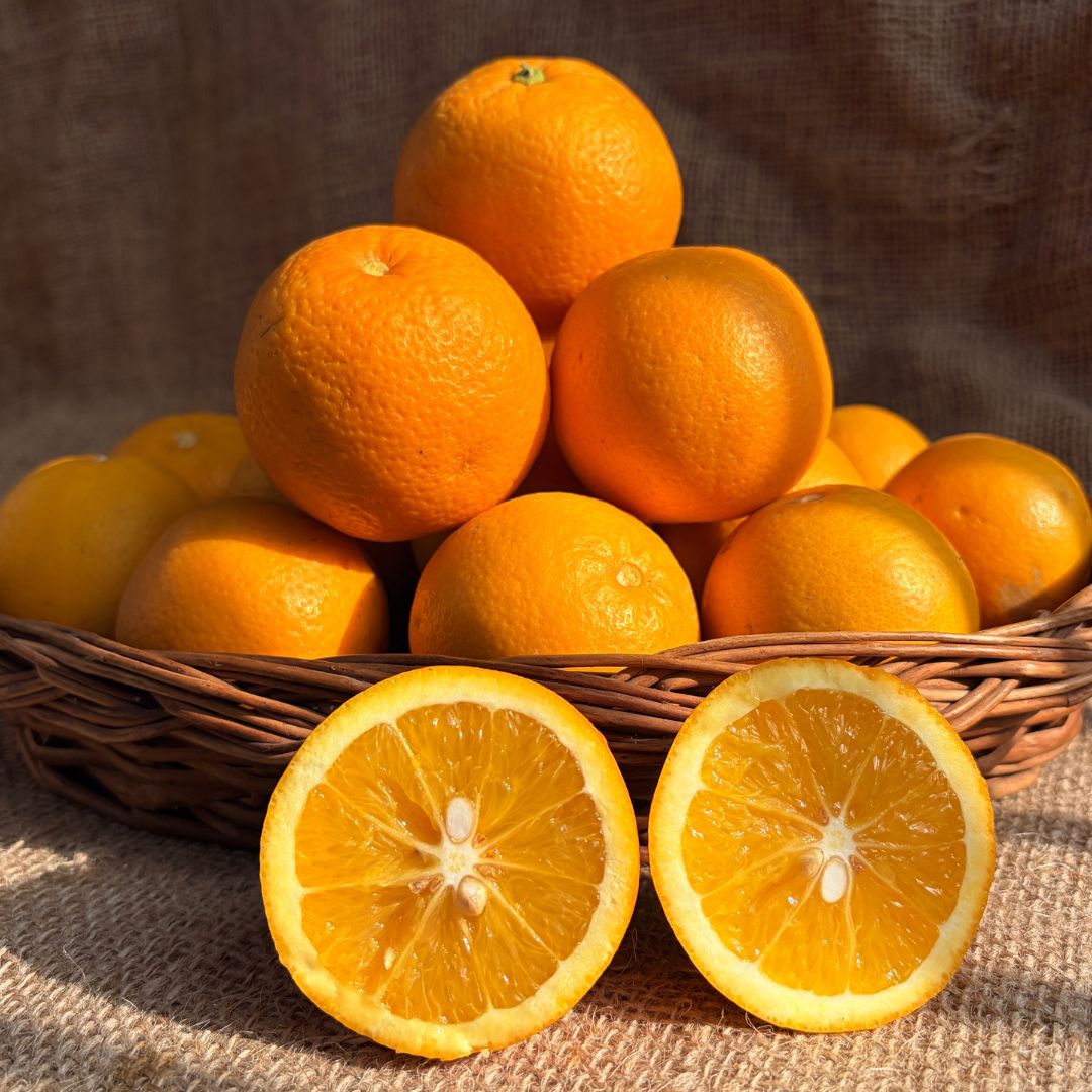 the staple kaka Malta