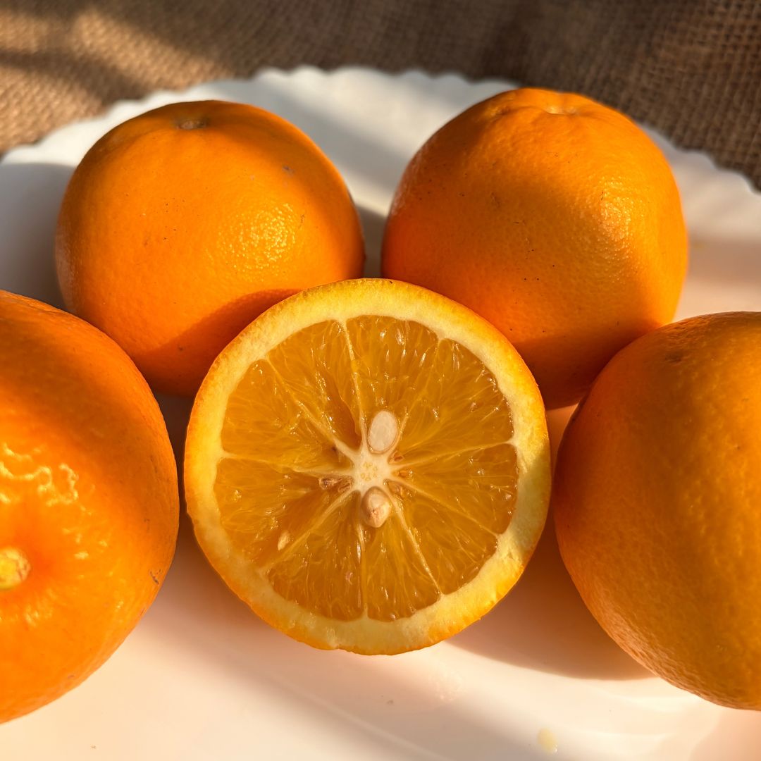 the staple kaka Malta