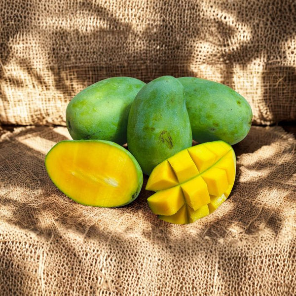 Malda Mangoes from Bhagalpur, Bihar by The Staple Kaka