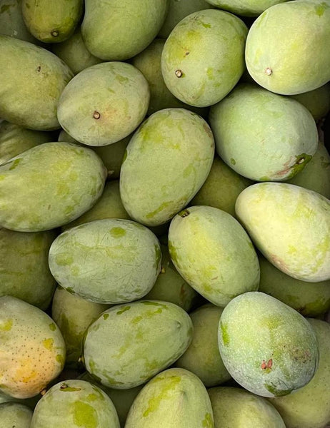 Malda Mangoes from Bhagalpur, Bihar by The Staple Kaka