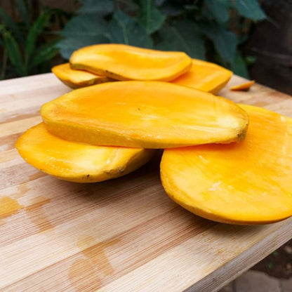 Mallika Mango – The Staple Kaka