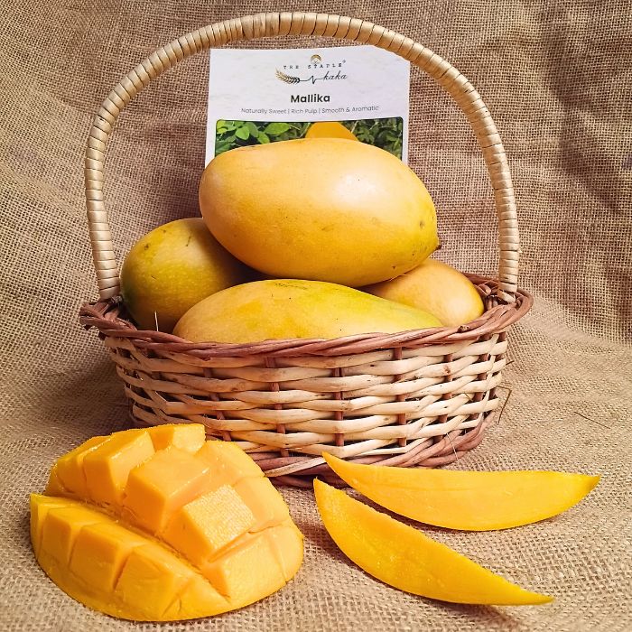 Mallika Mango – The Staple Kaka