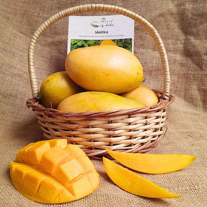 Mallika Mango – The Staple Kaka