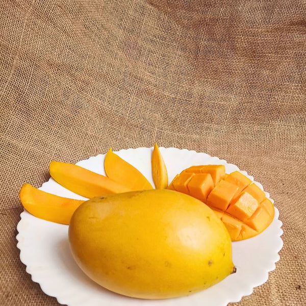 Mallika Mango – The Staple Kaka