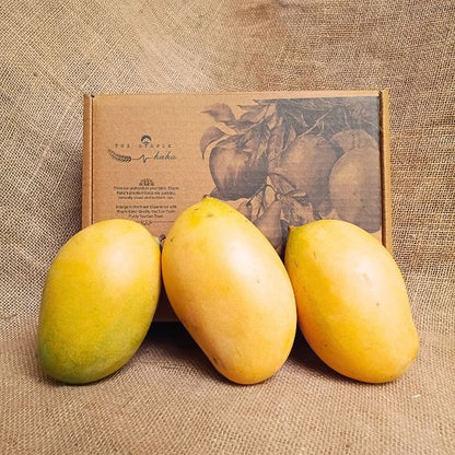 Mallika Mango – The Staple Kaka