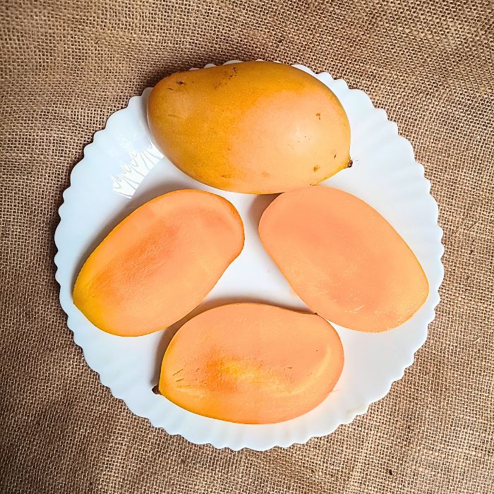 Mallika Mango – The Staple Kaka