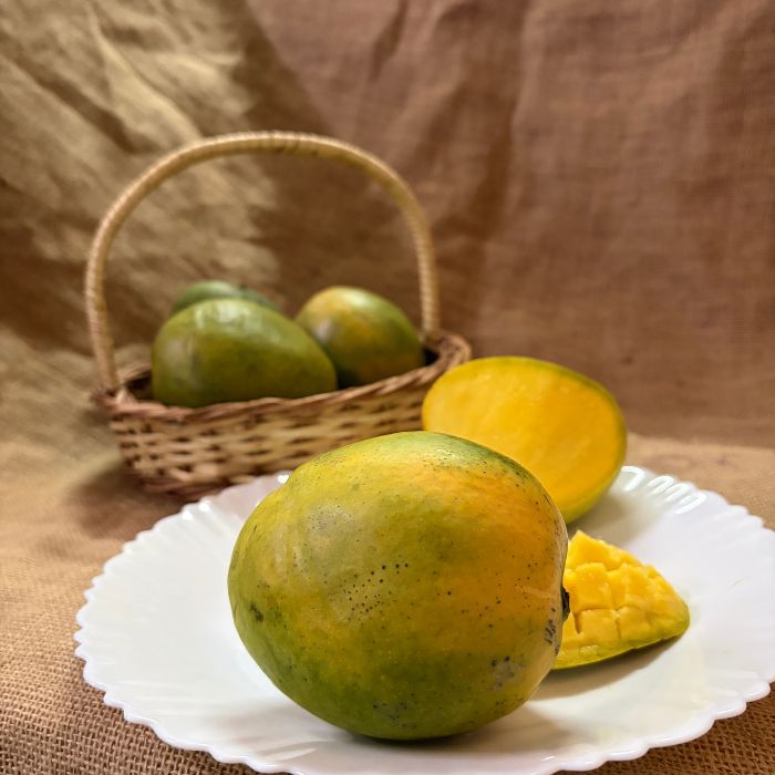 Malgova Mango - Tamil Nadu- The Staple Kaka
