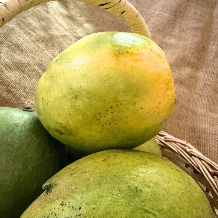 Malgova Mango - Tamil Nadu- The Staple Kaka