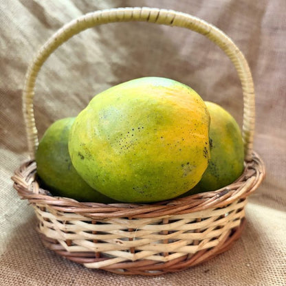 Malgova Mango - Tamil Nadu- The Staple Kaka