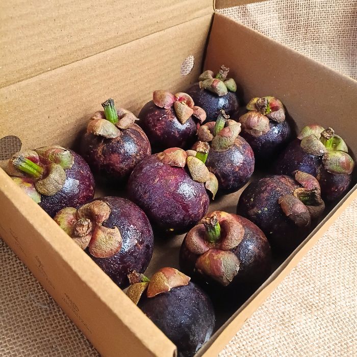 Mangosteen – Premium Kerala Mangosteen | The Staple Kaka