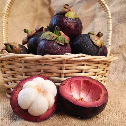 Mangosteen – Premium Kerala Mangosteen | The Staple Kaka