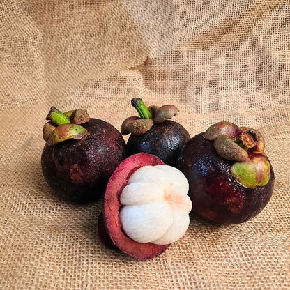 Mangosteen – Premium Kerala Mangosteen | The Staple Kaka