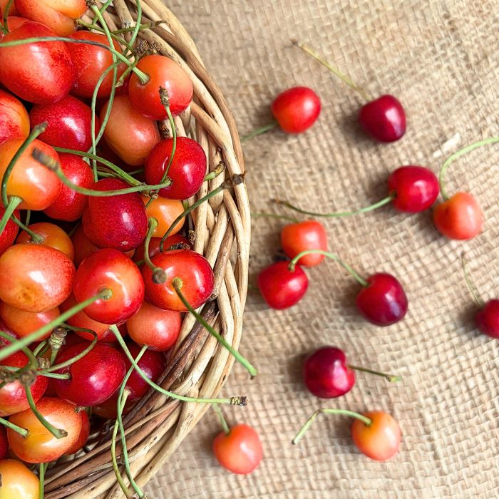 Mishri Cherry from Kashmir | The Staple Kaka