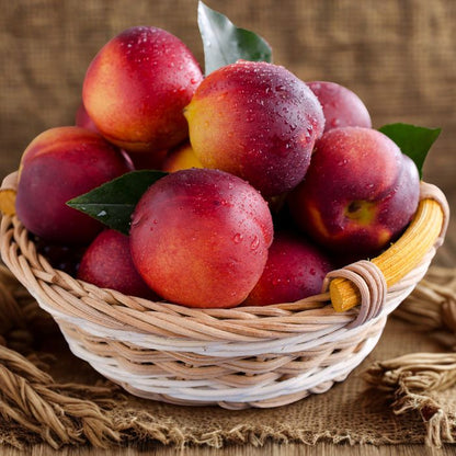Nectarines - Organic- The Staple Kaka