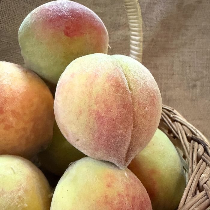 Peaches - Himachal - The Staple Kaka 🍑
