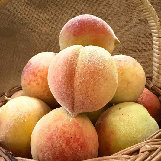 Peaches - Himachal - The Staple Kaka 🍑