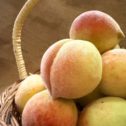 Peaches - Himachal - The Staple Kaka 🍑