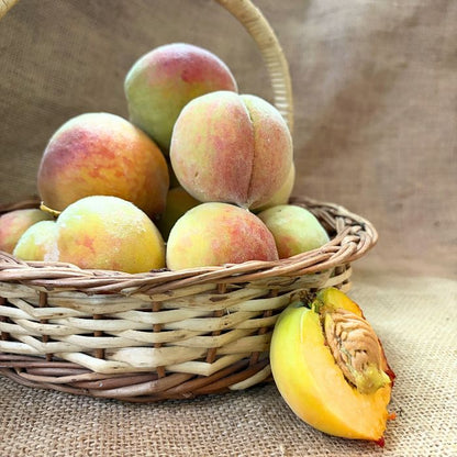 Peaches - Himachal - The Staple Kaka 🍑