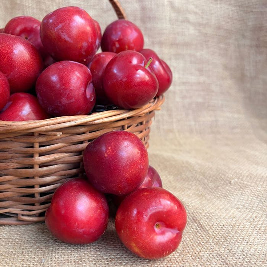 Plum – Fresh Himachal Plums | The Staple Kaka
