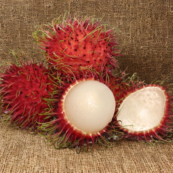 Fresh Rambutan – Exotic Kerala Rambutan Fruit | The Staple Kaka
