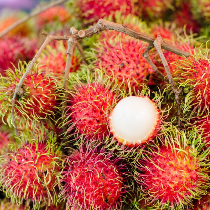 Fresh Rambutan – Exotic Kerala Rambutan Fruit | The Staple Kaka