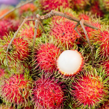 Fresh Rambutan – Exotic Kerala Rambutan Fruit | The Staple Kaka