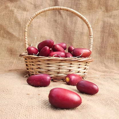 Fresh Red Dates (Jujube) – Nature’s Crisp, Sweet Superfruit