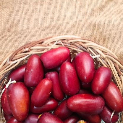 Fresh Red Dates (Jujube) – Nature’s Crisp, Sweet Superfruit