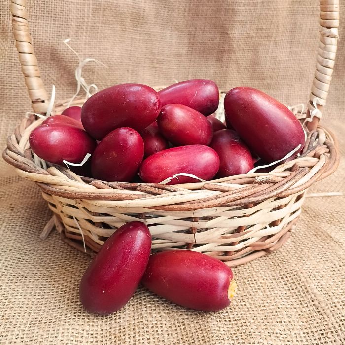 Fresh Red Dates (Jujube) – Nature’s Crisp, Sweet Superfruit
