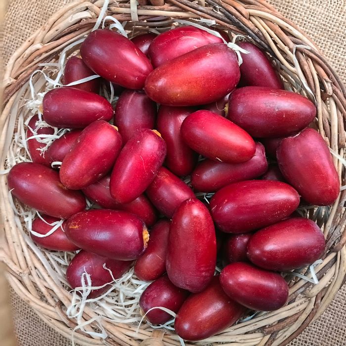 Fresh Red Dates (Jujube) – Nature’s Crisp, Sweet Superfruit