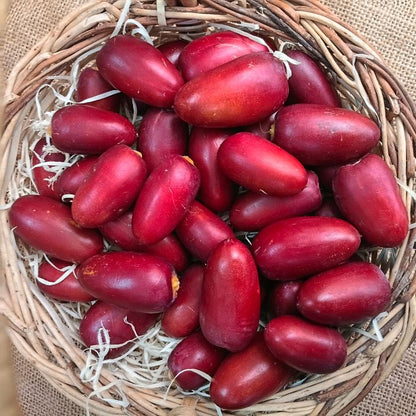Fresh Red Dates (Jujube) – Nature’s Crisp, Sweet Superfruit