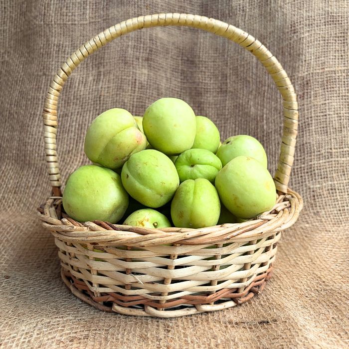 Shakarpara /Shakkar Para | Naturally Grown | The Staple Kaka|