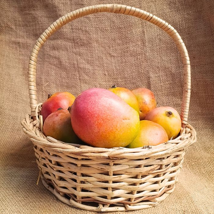 Sindhura Mangoes – The Staple Kaka