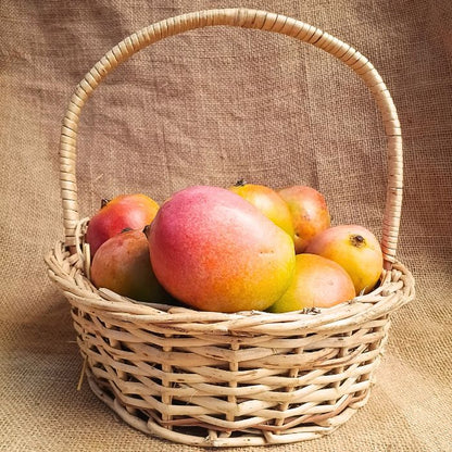 Sindhura Mangoes – The Staple Kaka