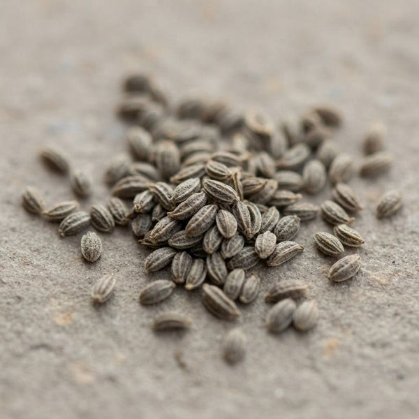 From our sourcing journey