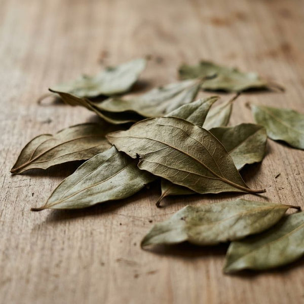 From our sourcing journey