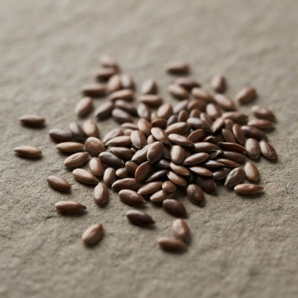 From our sourcing journey