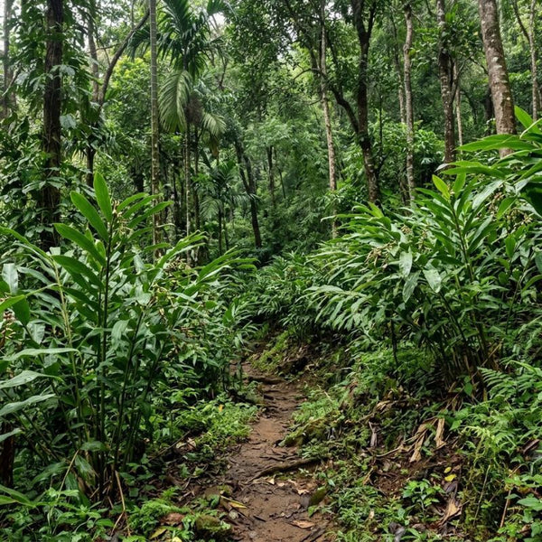 From our sourcing journey