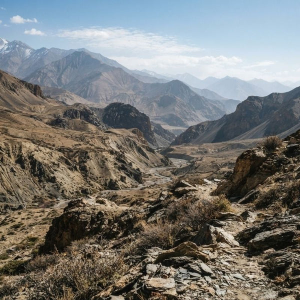 From our sourcing journey