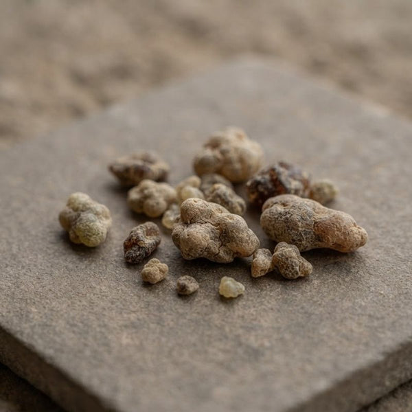 From our sourcing journey