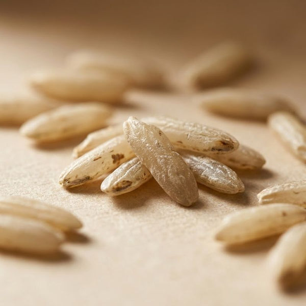 From our sourcing journey